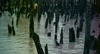 The Rare Blue Apes of Cannibal Isle (1974) download