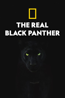 The Real Black Panther (2020) download