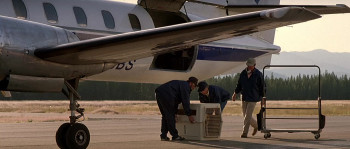 The River Wild (1994) download