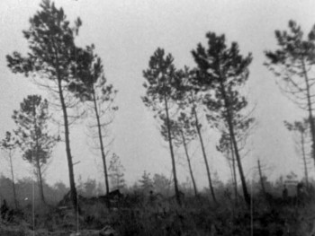 The Road to Patriation (1982) download