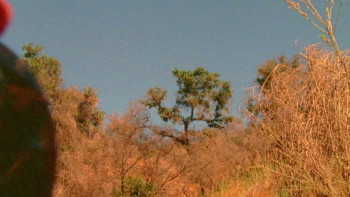 The Roman Spring of Mrs. Stone (1961) download