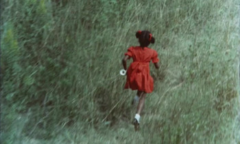 The Savage Bees (1976) download