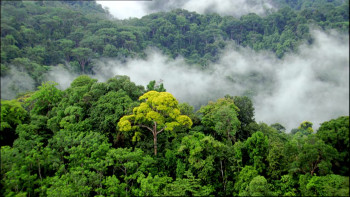 The Secret Life of Chaos (2010) download