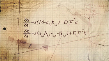 The Secret Life of Chaos (2010) download