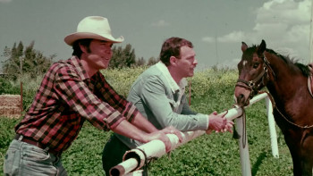 The Secret of Yolanda (1982) download