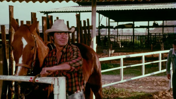 The Secret of Yolanda (1982) download