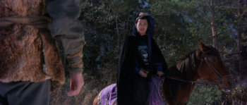 The Sentimental Swordsman (1977) download