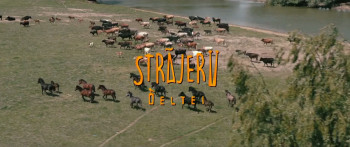 The Sentries of the Delta (2021) download