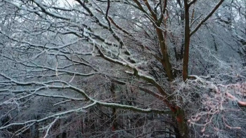 The Sequel (2018) download