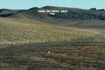 The Settlers (2023) download