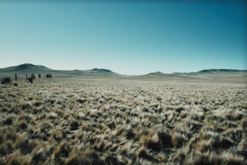 The Settlers (2023) download