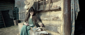 The Shamer's Daughter (2015) download