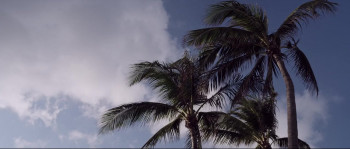 The Sleepwalker (2022) download