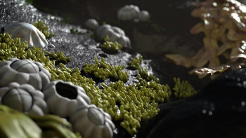 The Snail and the Whale (2019) download