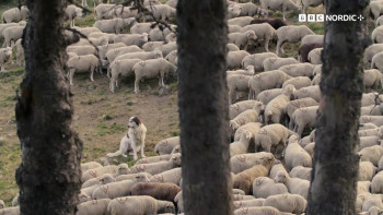 The Snow Wolf: A Winter's Tale (2018) download