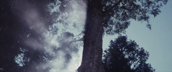 The Snow Woman (1968) download