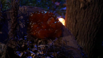 The Stalking (2024) download