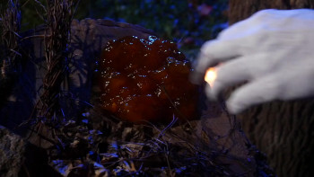 The Stalking (2024) download