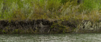 The Sticks (2025) download