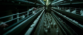 The Substitute (2007) download