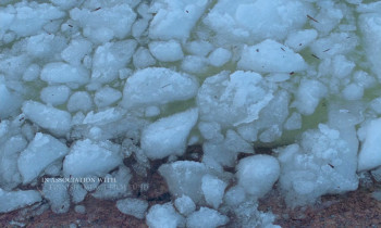 The Summer Book (2024) download