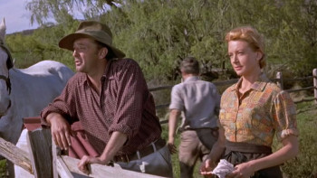 The Sundowners (1960) download