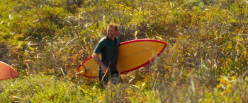 The Surfer (2024) download