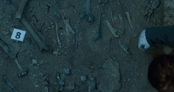 The Teacher Who Promised the Sea (2023) download