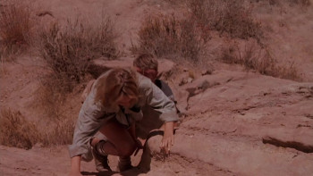 The Terror Within II (1991) download