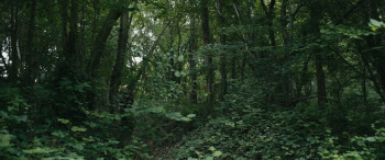 The Thing Behind the Door (2023) download