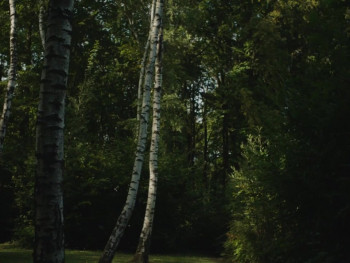 The Trouble with Being Born (2020) download