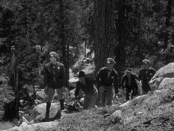 The True Adventures of Raoul Walsh (2014) download