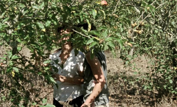 The Tsugua Diaries (2021) download