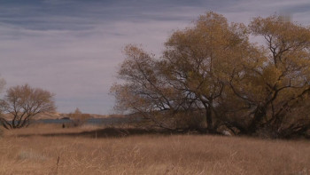 The United States of America (2022) download