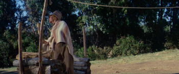 The Unsinkable Molly Brown (1964) download