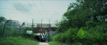 The Unwavering Brotherhood (2024) download