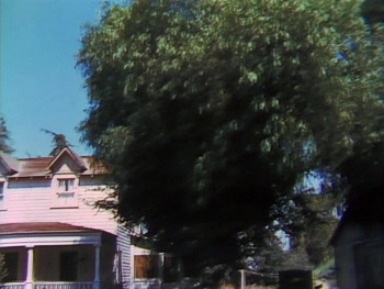 The Waltons: A Decade of the Waltons (1980) download