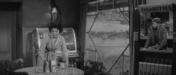 The Wayward Bus (1957) download