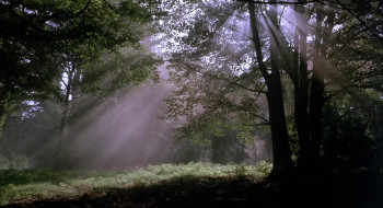 The Wicked Lady (1983) download