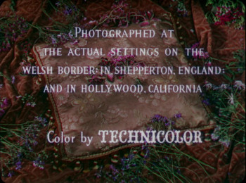 The Wild Heart (1950) download