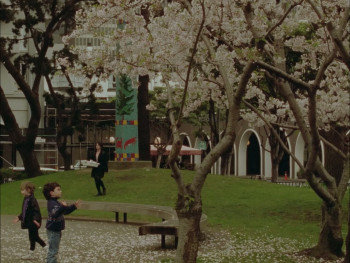 The Wild Parrots of Telegraph Hill (2003) download