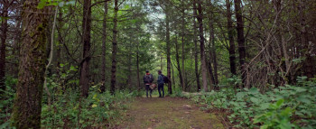 The Wishing Tree (2020) download