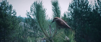 The World Will Tremble (2025) download