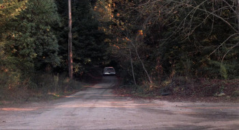 They Call Me Macho Woman! (1989) download