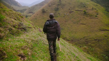 This is Congo (2017) download