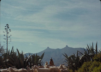 This Is Not a Burial, It's a Resurrection (2019) download