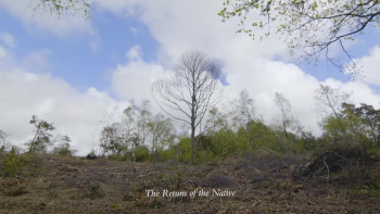 Thomas Hardy: Fate, Exclusion & Tragedy (2021) download