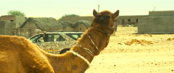 Thug Life (2025) download