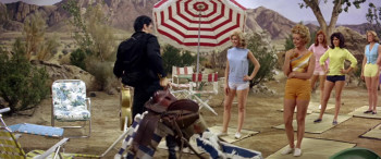 Tickle Me (1965) download