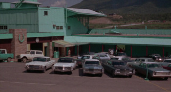 Tiger by the Tail (1970) download